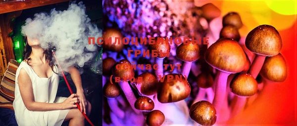 мяу мяу кристалл Ладушкин