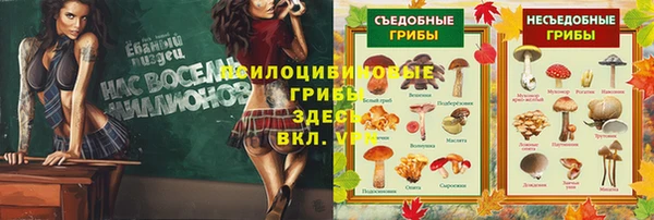 стаф Лабытнанги