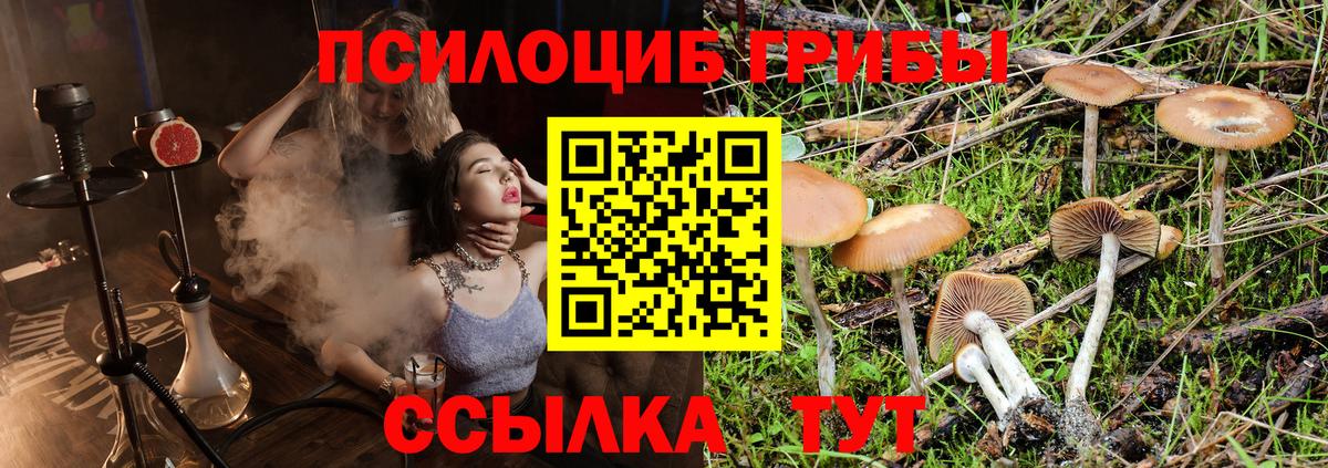 Нефтекамск  Галлюциногенные грибы мицелий  Вход с VPN 